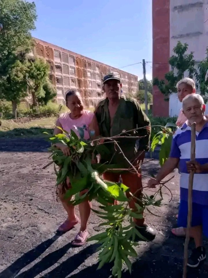 issita_01's tweet image. Nuestros delegados del #PoderPopular se movilizan como guardianes de la salud, librando una batalla decisiva contra los riesgos ambientales.
Con acciones concretas de limpieza y saneamiento, cortan de raíz los espacios donde el mosquito intenta proliferar.