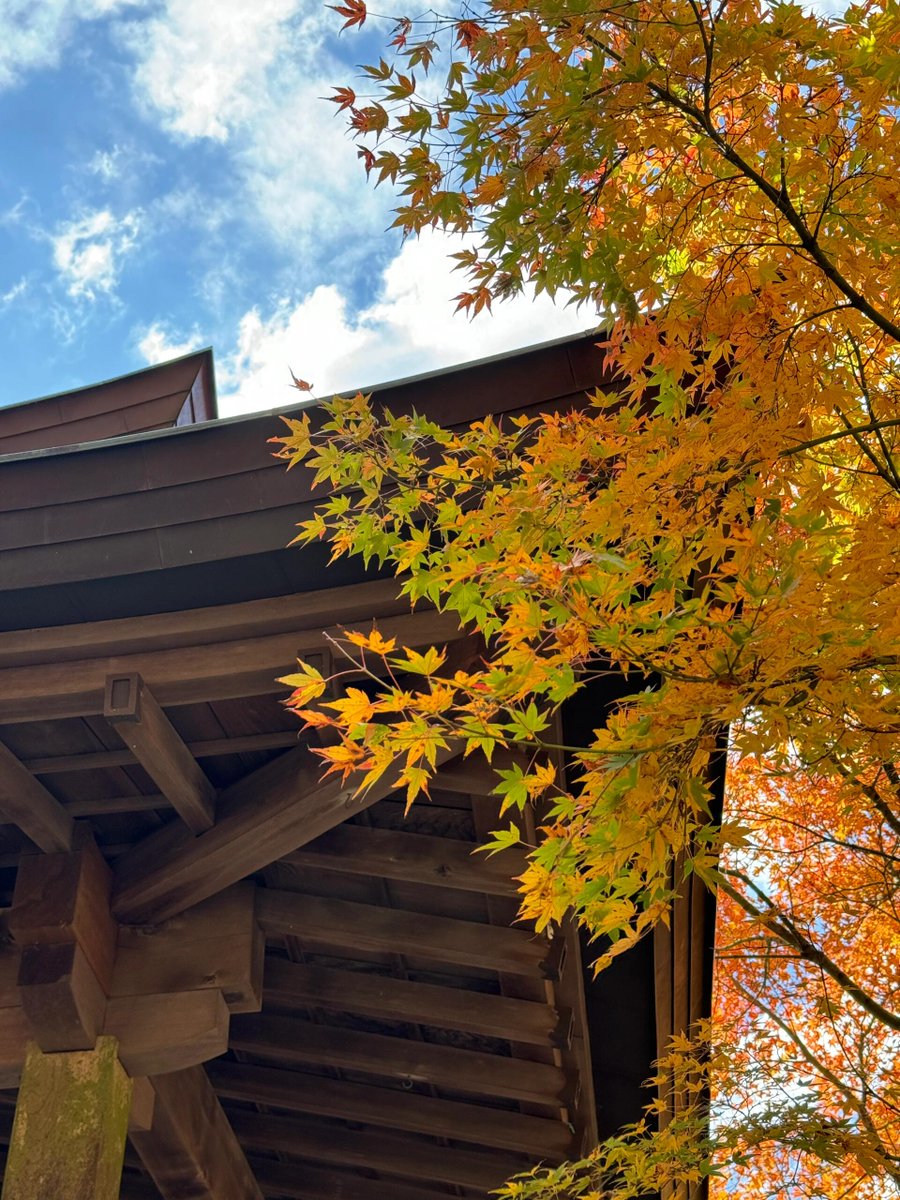 galinss's tweet photo. 紅いもみじと共に、生活の素晴らしさを感じます。🌼 https://t.co/gD94WQWGxh