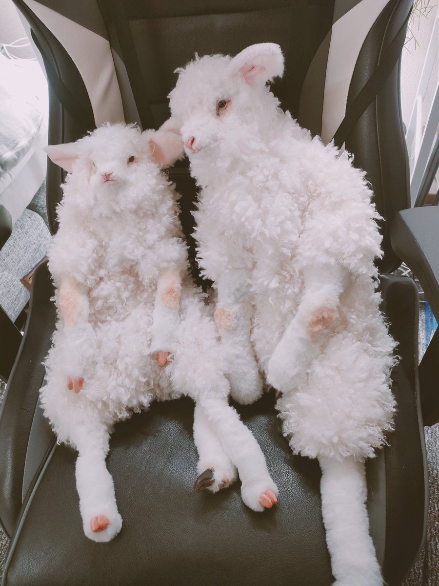 ひつじ ページ 六屋 on X