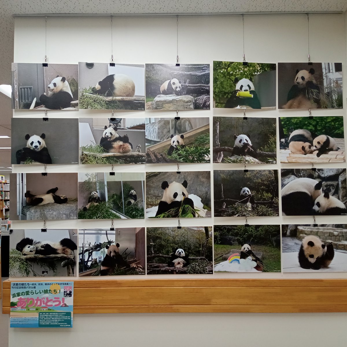 技術評論社パンダ部 (@gihyo_panda) / Posts / X