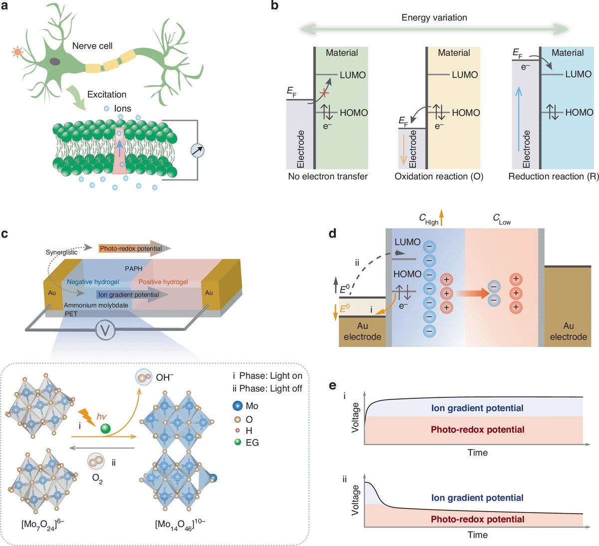 LightSciAppl's tweet image. #LSA_Highlight: [Article] Photoenergy harvesting by ammonium molybdate soft hydrogel drops. @Beihang1952 #Anhui_Medical_University #Optoelectronic_devices_and_components #Photonic_devices
nature.com/articles/s4137…