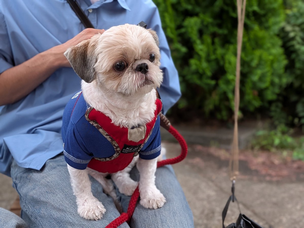 kaopapa0317's tweet image. スマホでも撮ってみた

スマホとカメラ
どっちが良いかは
お好みしだい

#スマホ撮影
#Googlepixel10