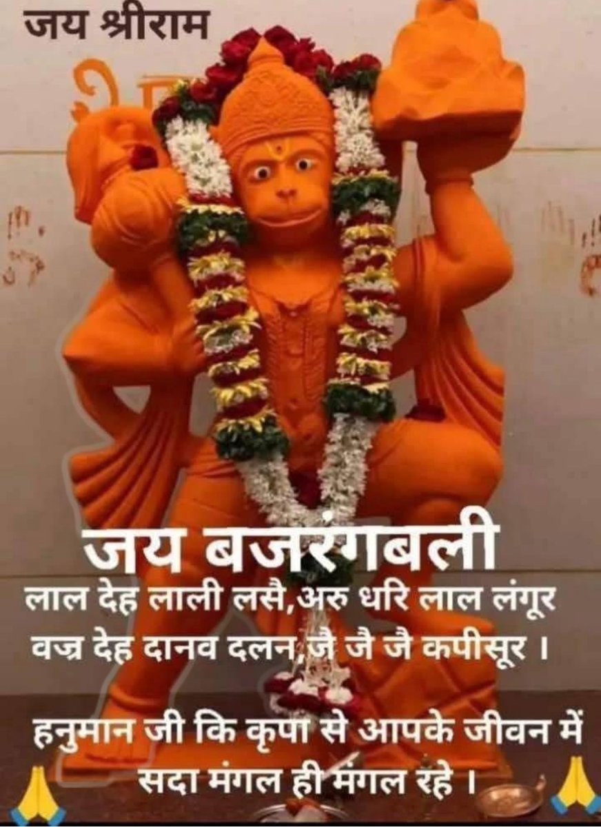 🌷जय श्री राम🌷
       🌹जय हनुमान 🌹
सभी मित्रों को सुप्रभात वंदन 
🙏🙏