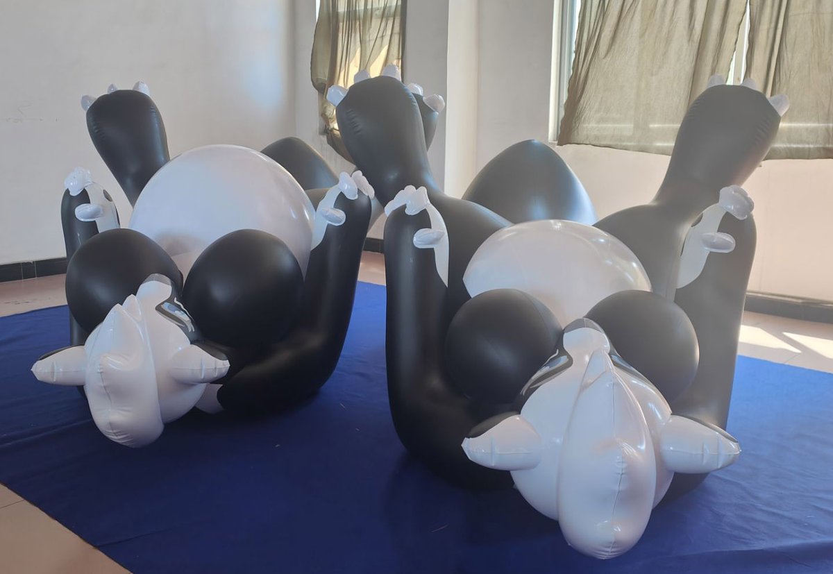 🥰🥰Inflatable skunk with big chest and big belly
#doll
#inflatable
#cartoon
#SPH