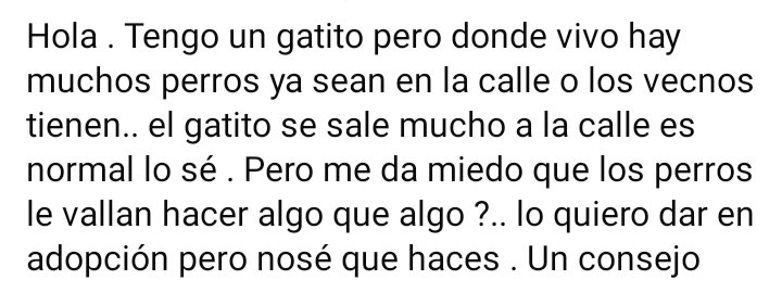 Pauadriss tweet media