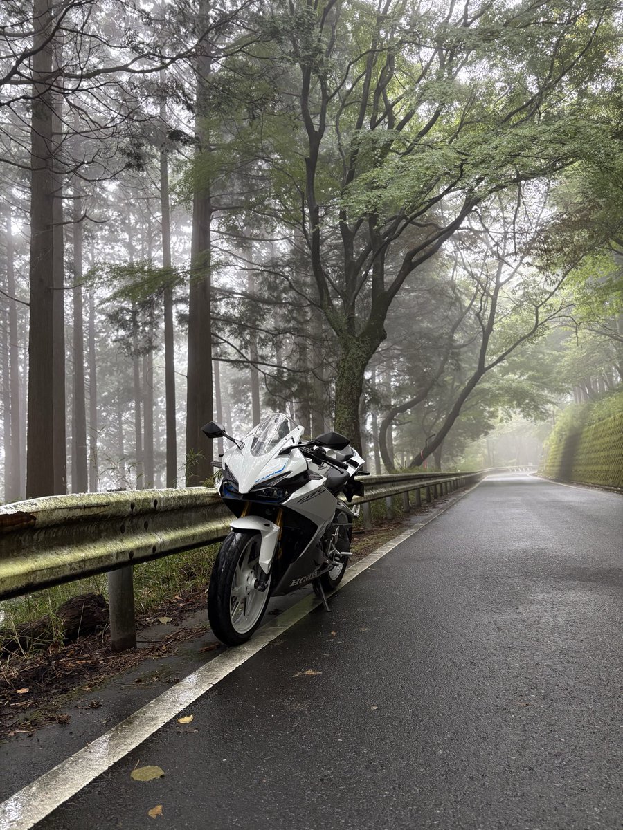 imymemineeeeeed's tweet photo. 箱根さっむ
#バイク好きと繋がりたい 
#cbr250rr https://t.co/PGiSVs1EsG