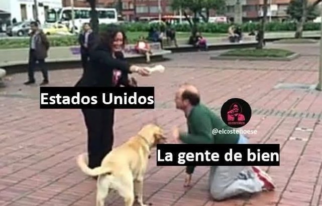 nacional_memes's tweet image. 🐷