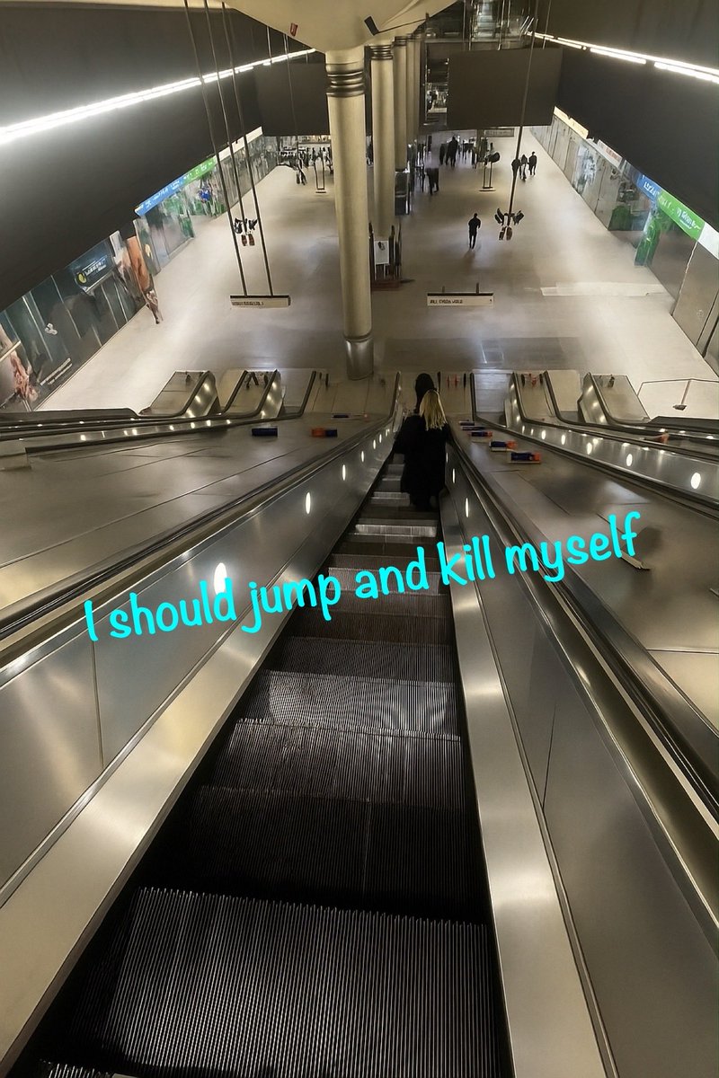 soupinthering's tweet image. How I see the world