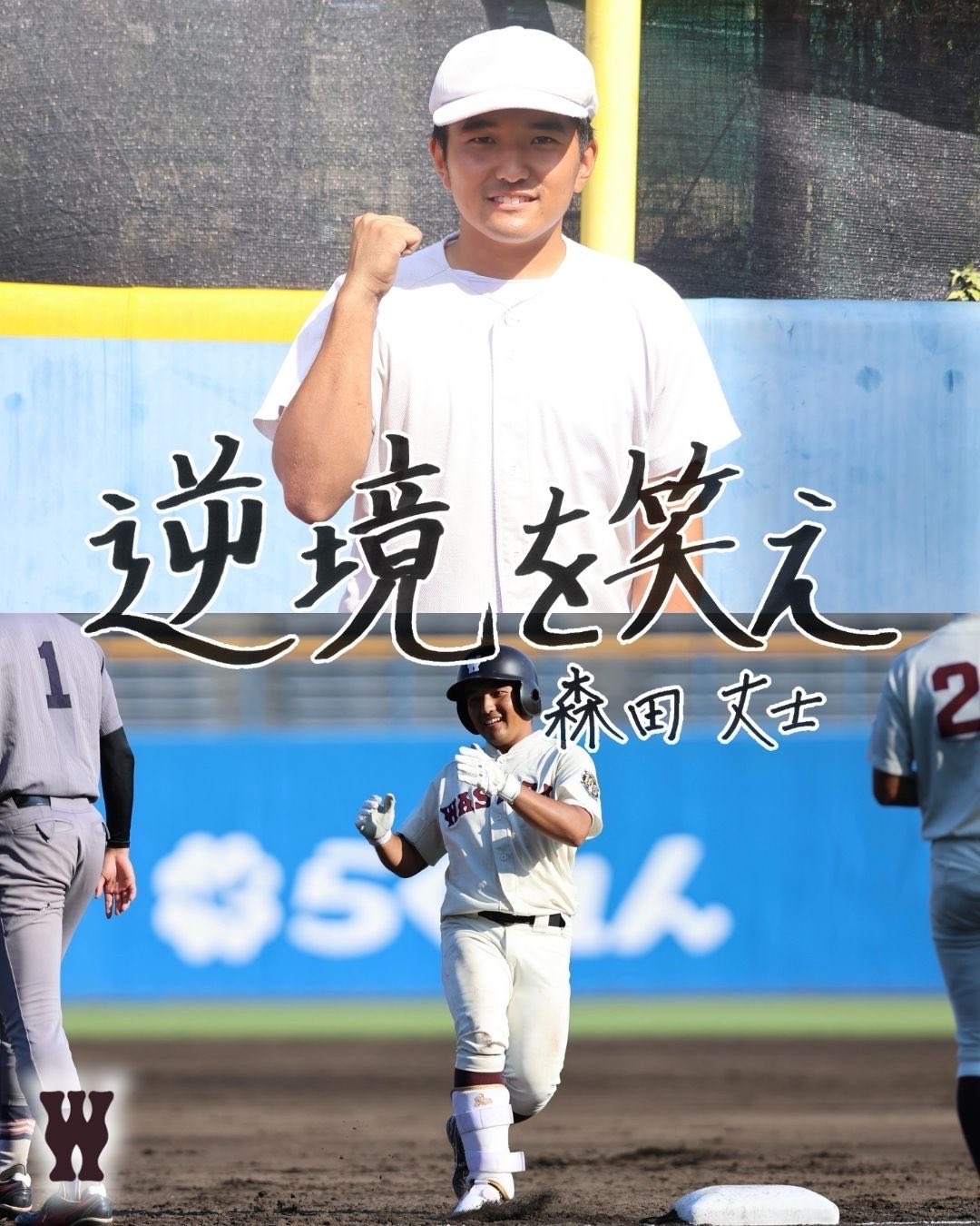 早稲田大学野球部 on X: 