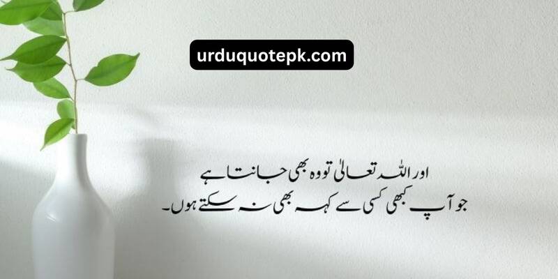 superwrite606's tweet image. 