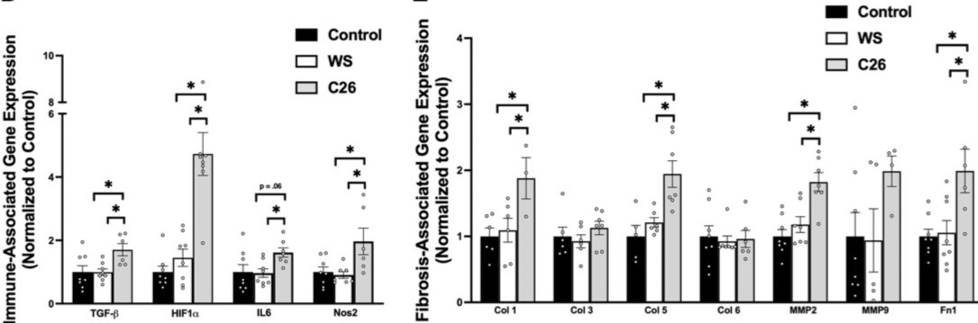 Thomas Cardaci tweet media