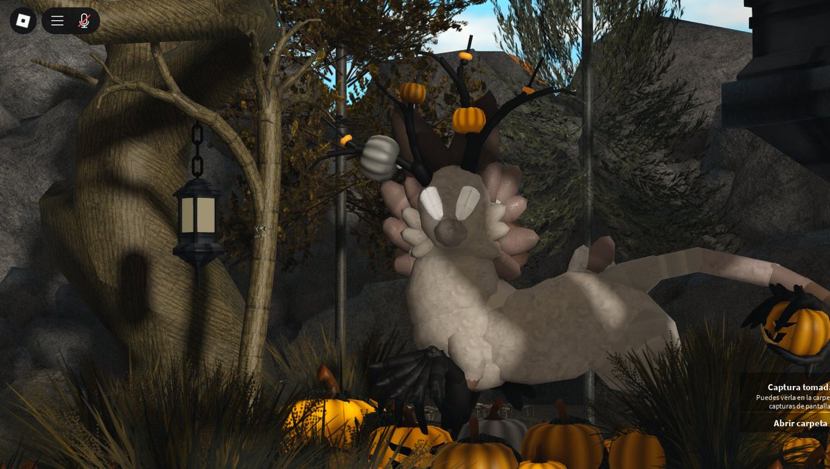 Cotakj.s tweet media