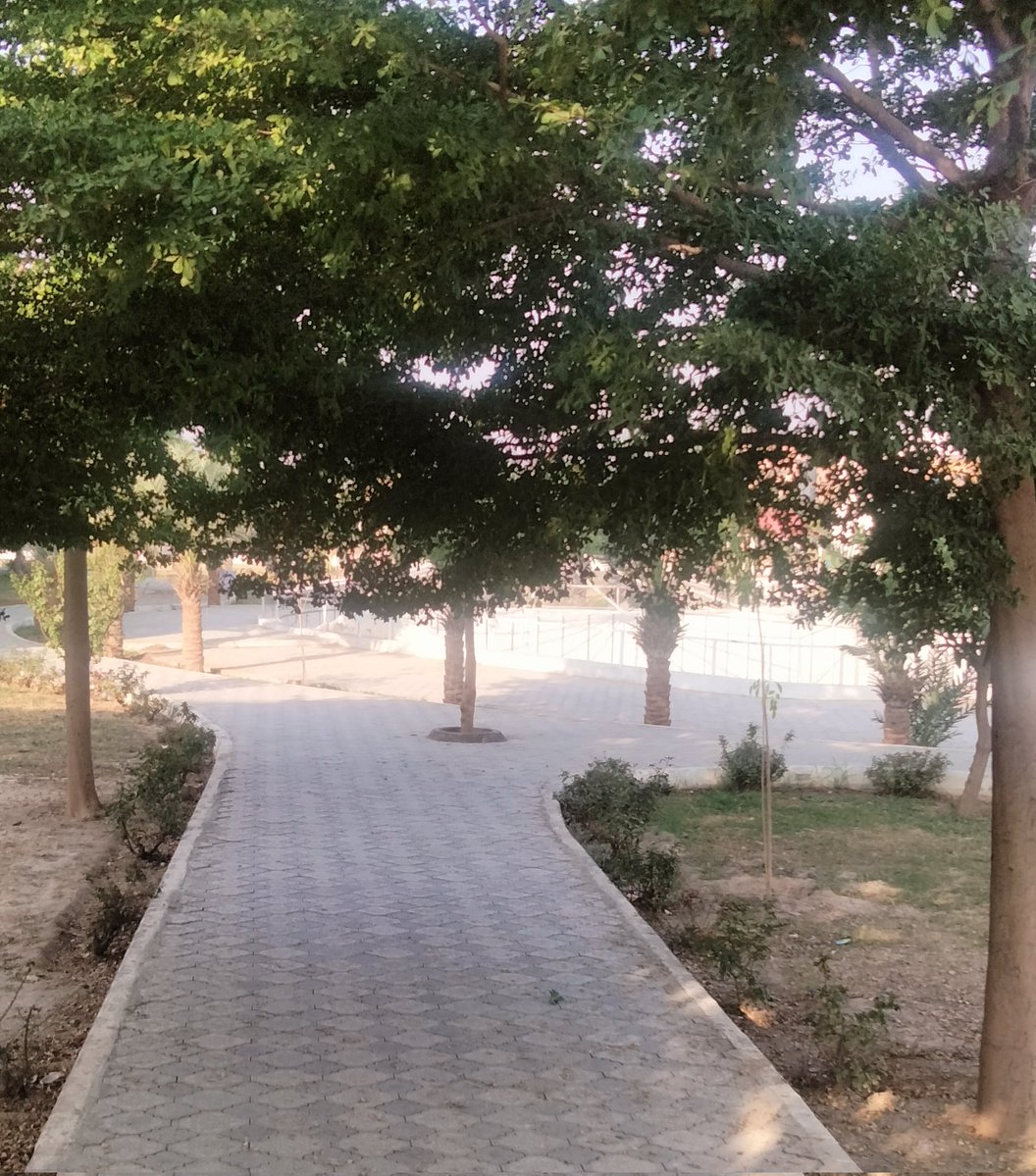 HalimaS01's tweet image. آخر کار مارنگ واک ہو رہی ہے 🫣
استقامت کے لیے آپکی دعاؤں کی ضرورت ہے🫢