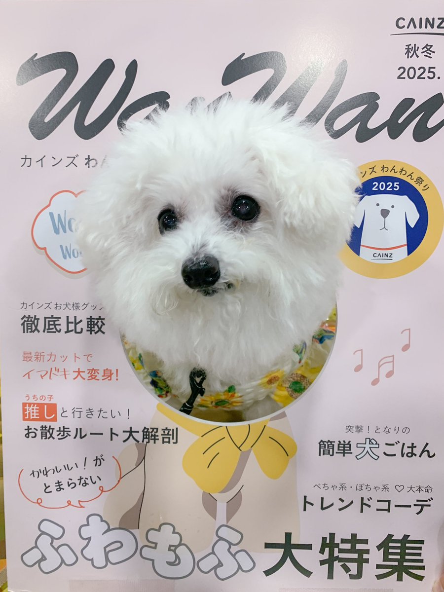 わんちゃんページ おさんぽしよう！とことこワンちゃん マルチーズ | BANDAI TOYS