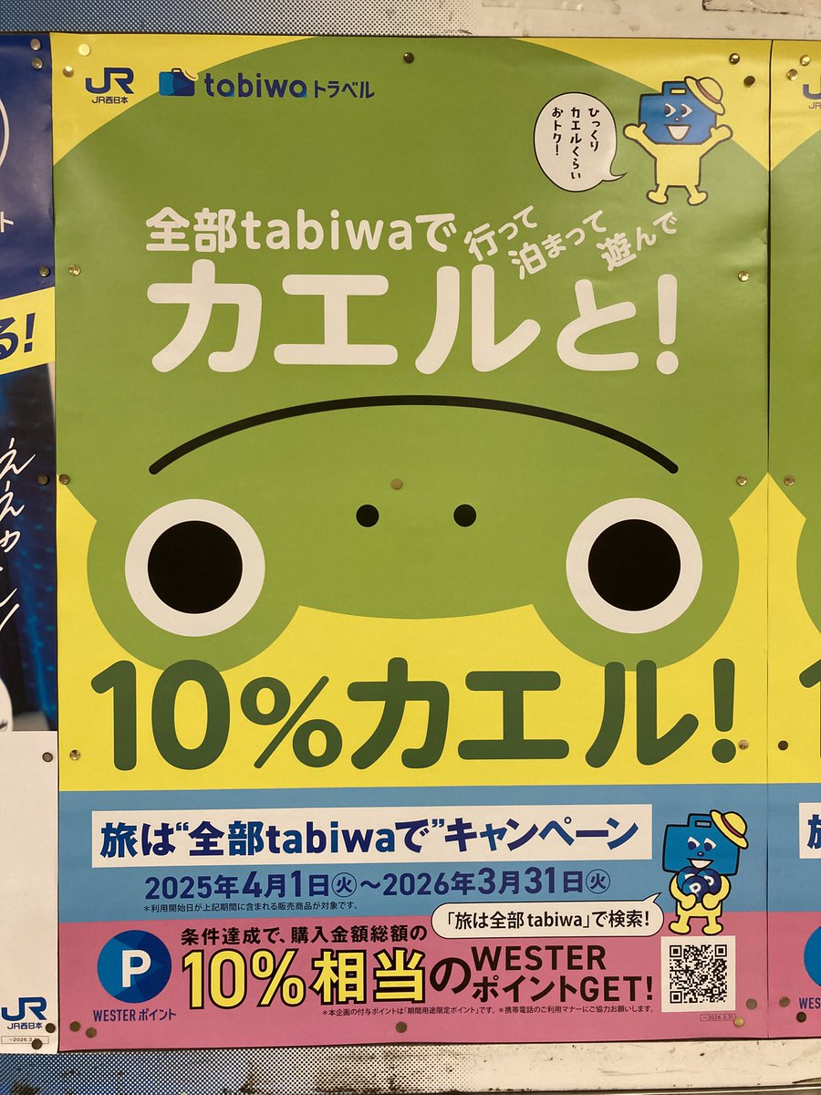 kaerumaster66's tweet photo. カエル発見🐸 https://t.co/BmPIvUaXUB