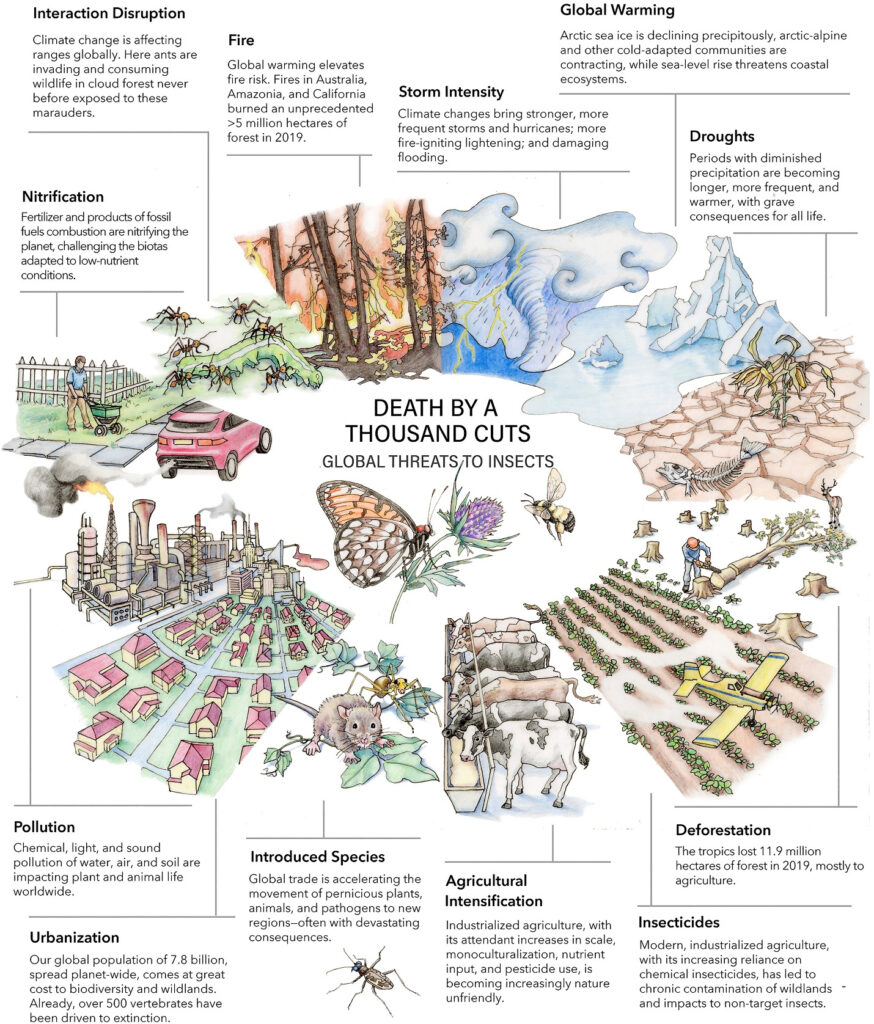 Johnny fra Stovner (@bergvikjohnny) on Twitter photo <a href="/ProfBillMcGuire/">Bill McGuire</a> >CLIMATE TRANSITION
This line of thinking is why we, as a species, keep accelerating the biosphere collapse we're in the late stages of.
No aspect of modern industrialized society is even remotely sustainable. We can't just make minor adjustments keep things as they are. <a href="/ProfBillMcGuire/">Bill McGuire</a> >CLIMATE TRANSITION
This line of thinking is why we, as a species, keep accelerating the biosphere collapse we're in the late stages of.
No aspect of modern industrialized society is even remotely sustainable. We can't just make minor adjustments keep things as they are.