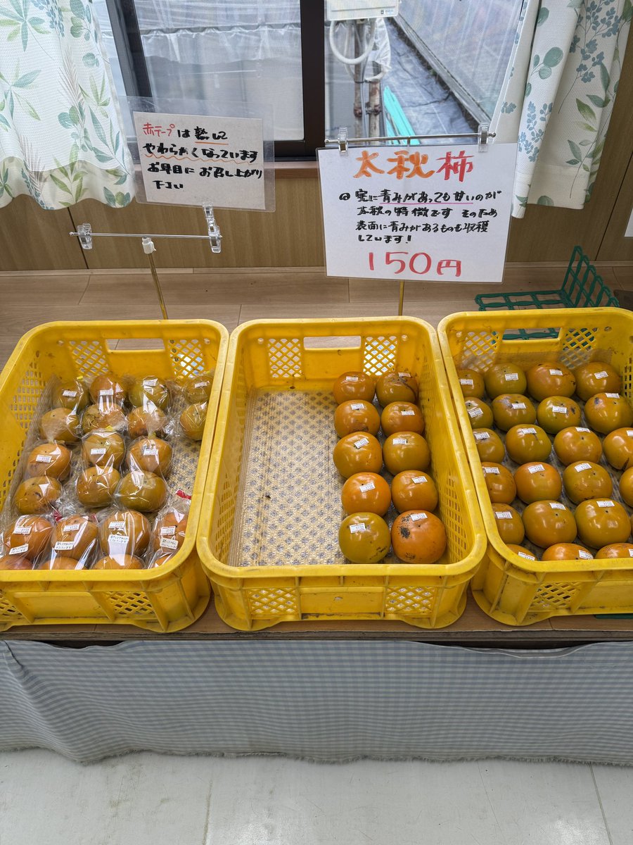 さあやさい様9点 南鳩ヶ谷野菜直売所 on X