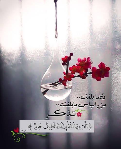 mas7700's tweet photo. يأتِ بها الله ان الله لطيف خبير https://t.co/E431g4sADg