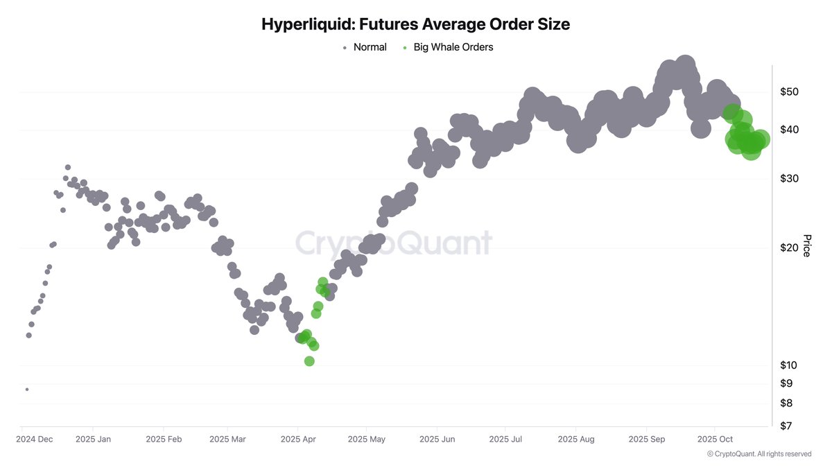 Hyperliquid Futures Average Order Size | Source: CryptoQuant