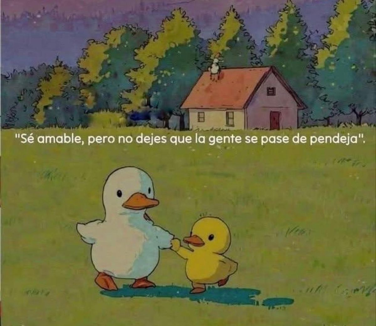 AquiLoLei's tweet image. 