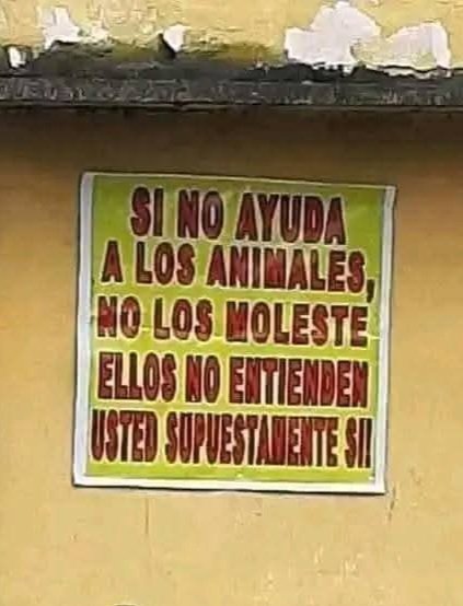 Sabueson (@sabueson) on Twitter photo 