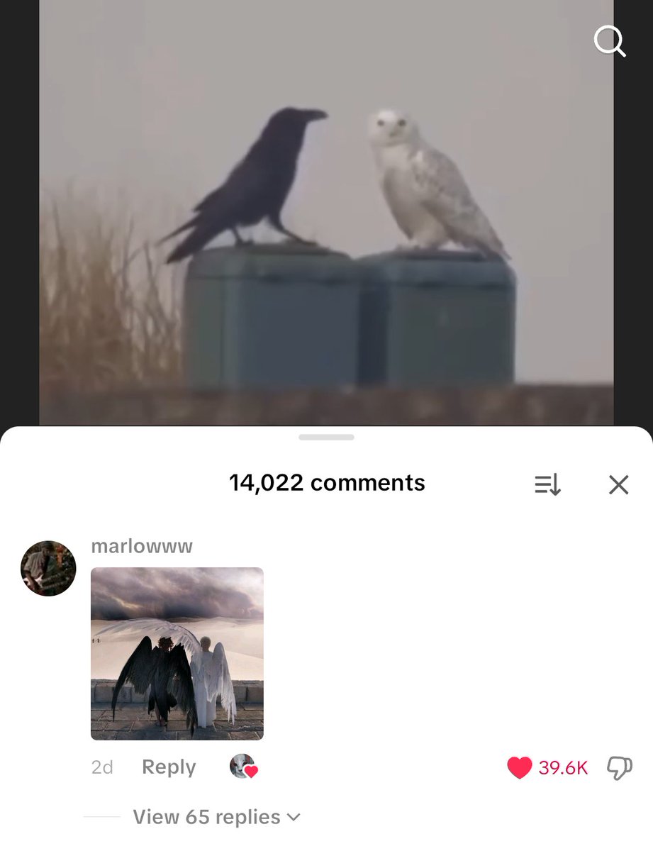 what in the FUCK