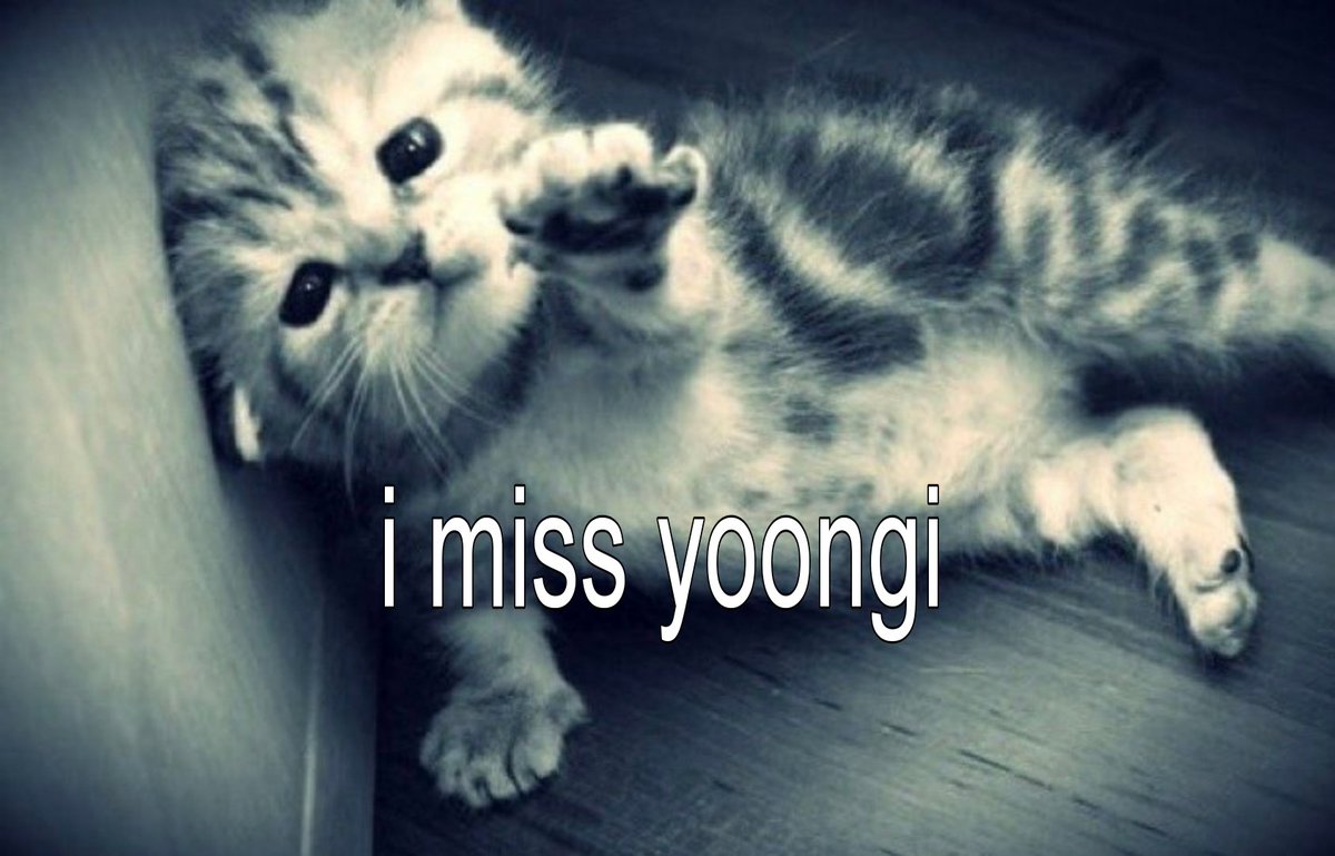 YOONGI YOONGI YOONGI YOONGI (@yoonglyoongi) on Twitter photo 