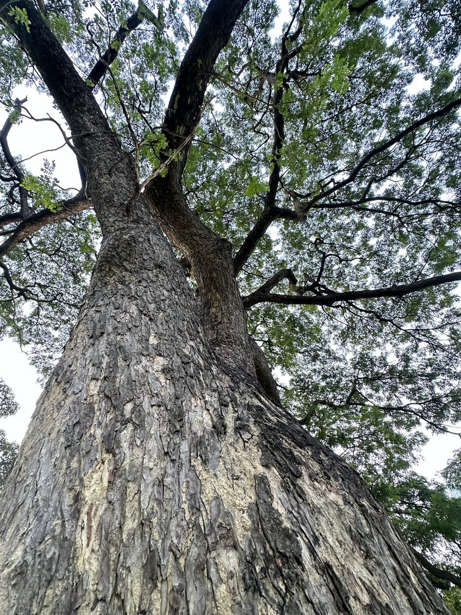 การ Grounding อยู่กับธรรมชาติ หายใจช้าๆ รับพลังงานบริสุทธิ์ให้เต็มที่ ลองทำอะไรที่มันไม่ต้องเร่งรีบดูบ้าง ทำสมาธิให้เป็นประจำ ทำอย่างสม่ำเสมอ ไม่ได้ถึงกับต้องบังคับตัวเองว่าต้องทำ แต่ต้องรู้สึกดี ที่ได้ทำ แล้วคุณจะสัมผัสได้ว่า ลมหายใจของเรามันจะเปลี่ยนไป เราจะรู้สึกเบาสบายมากขึ้น