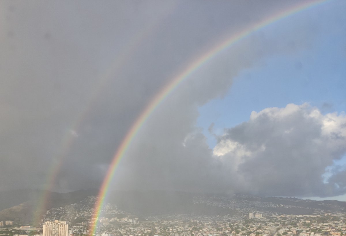 Pingchuan Ma tweet media