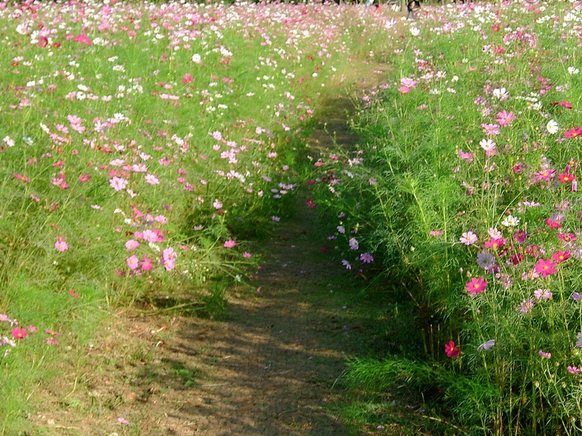 _epdl's tweet image. 가을이 있었는데요…