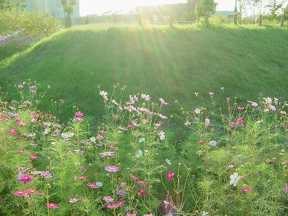 _epdl's tweet image. 가을이 있었는데요…