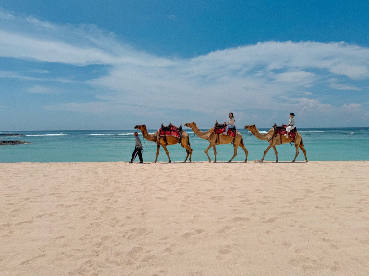 Any guesses where our team is?