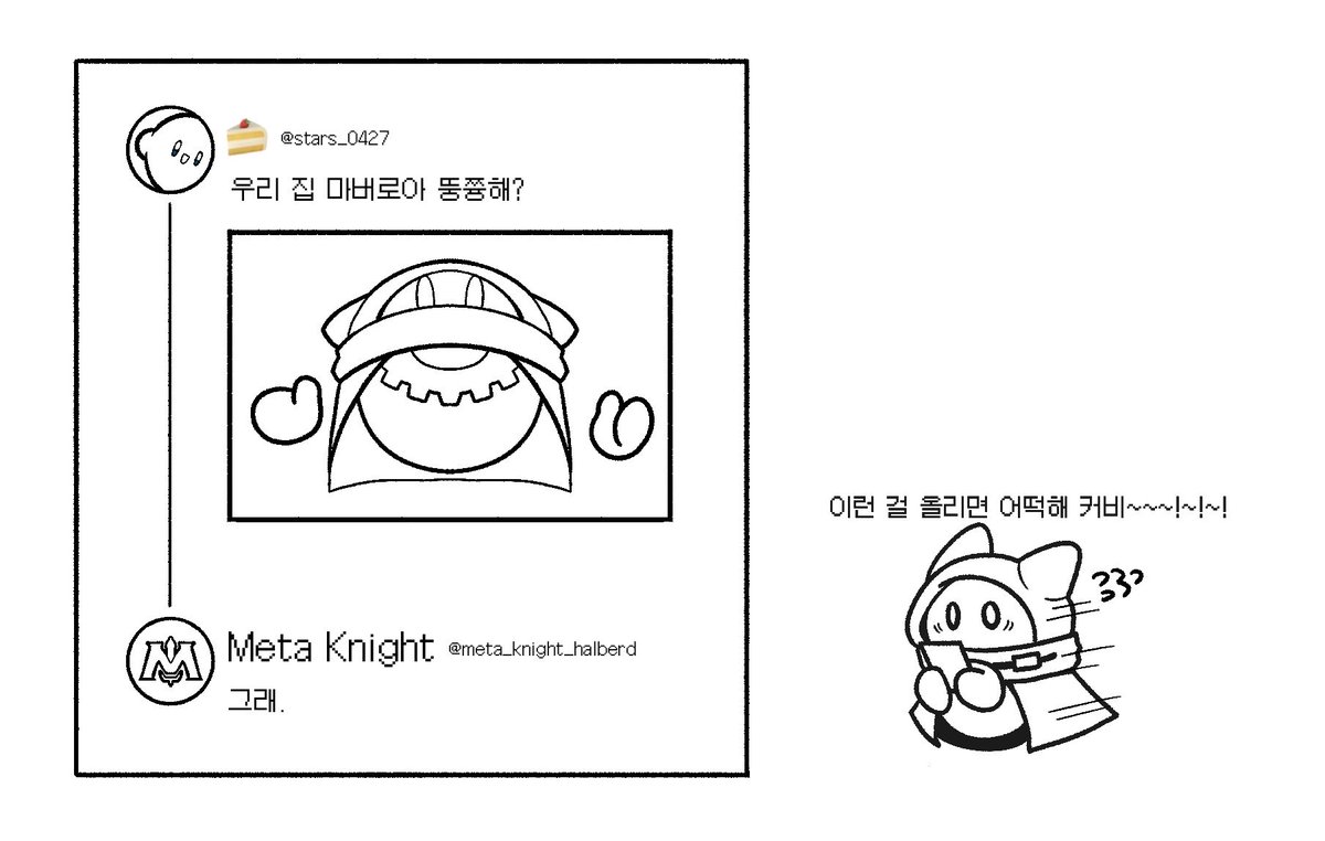 저희 집 마버로아 뚱쯍해요?