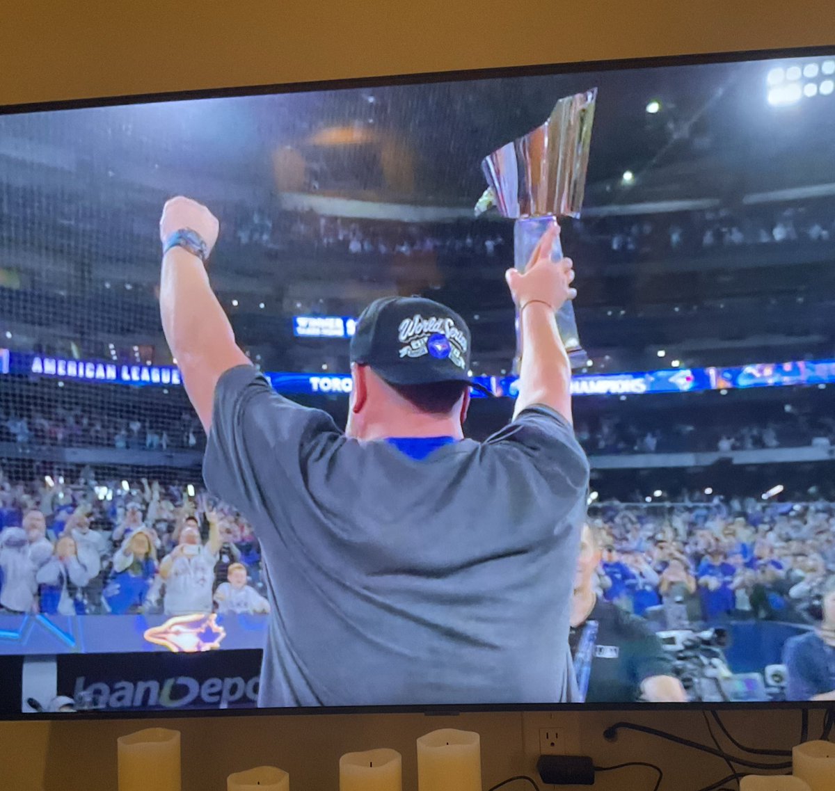 Blue Jays win the American League Pennant and we’re heading to the motherfucking World Series 🔥 

IM SO HAPPY RIGHT NOW.  #WANTITALL