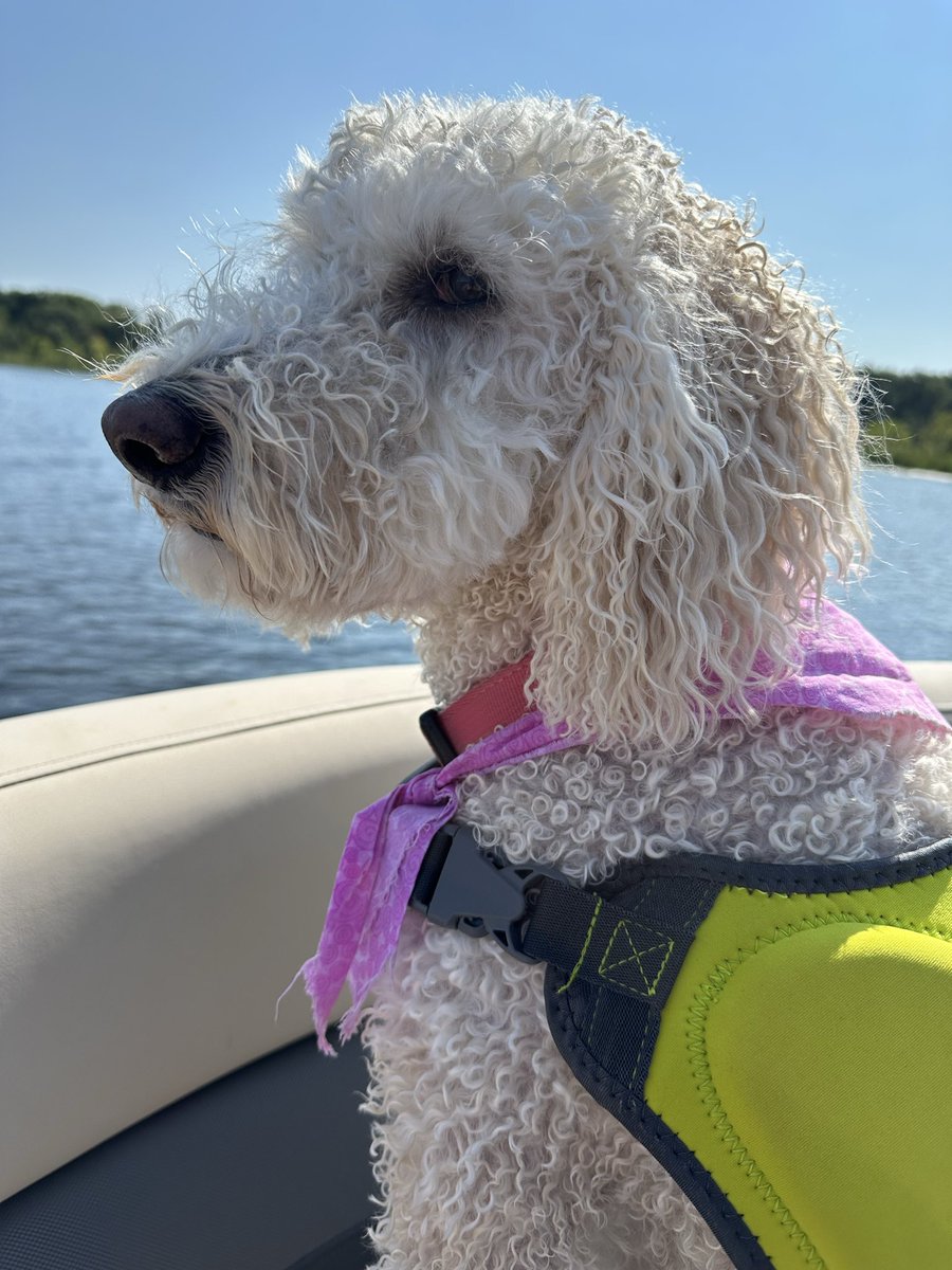 Randy Duncan tweet media