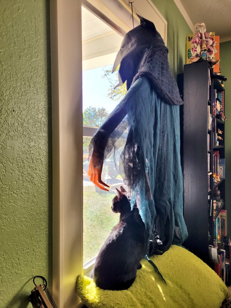 himorenart's tweet photo. Yes, this is my cat's emotional support pumpkin lord...and? 
🎃 🐈‍⬛️ ✨️ https://t.co/jdE5ffqH5p