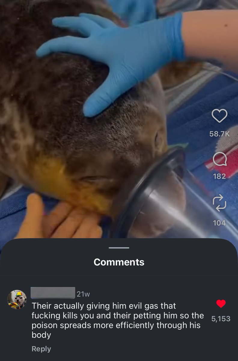 Images AI Could Never Recreate (@imagesaicouldnt) on Twitter photo 