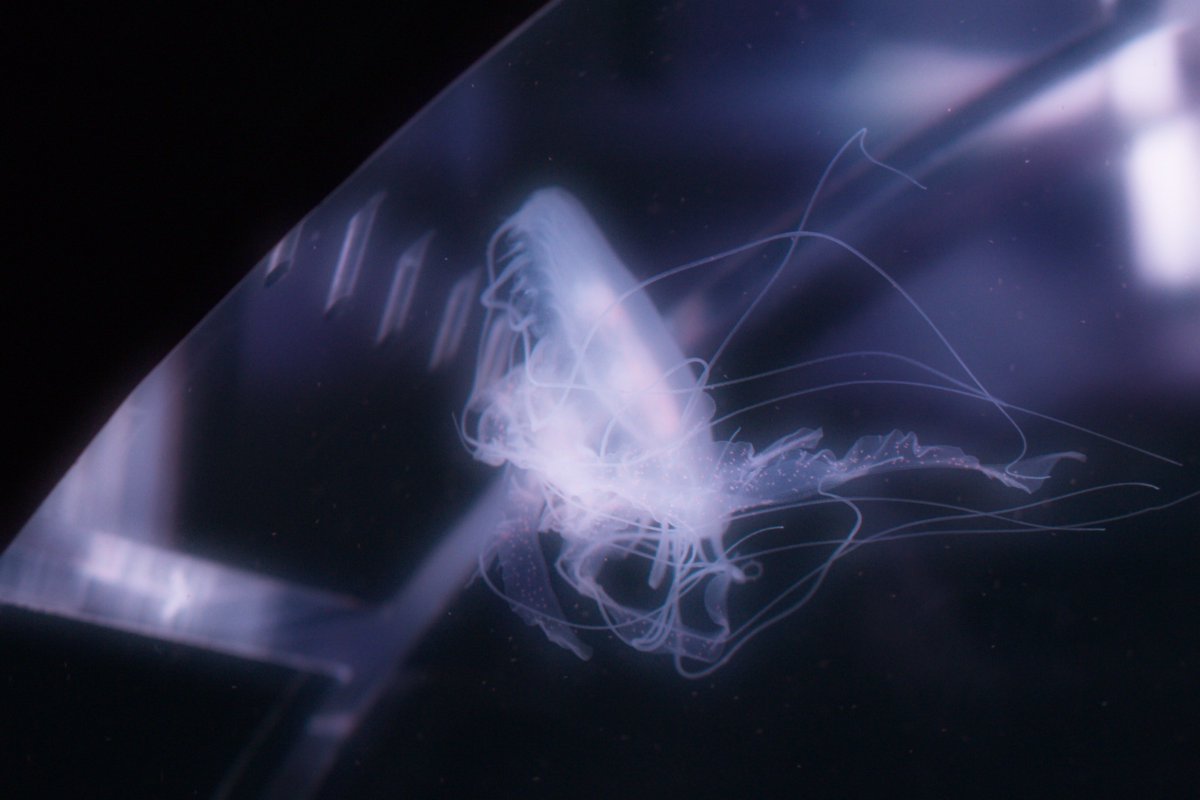 un1i5's tweet image. 