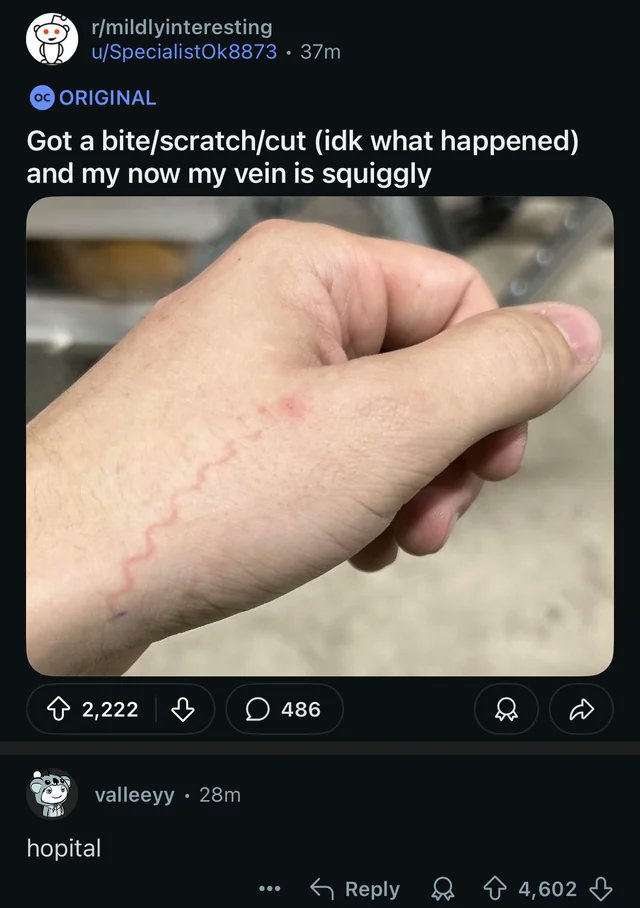 imagesaicouldnt's tweet image. 