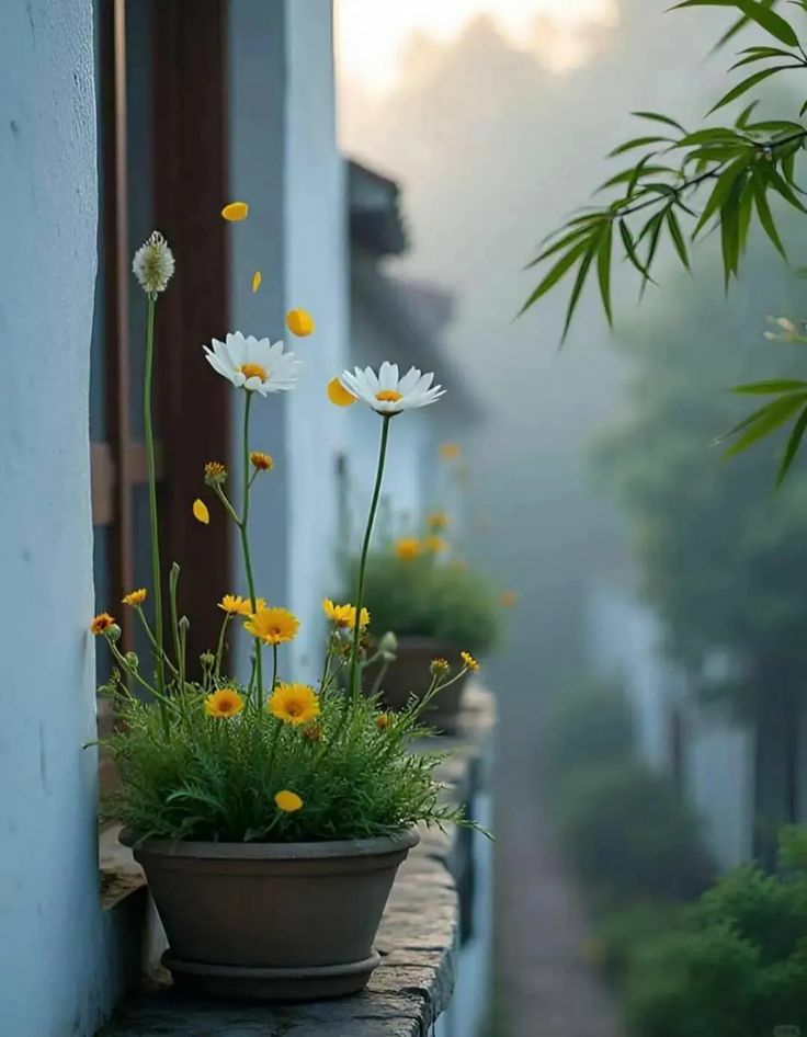 السلام عليكم ورحمة الله وبركاته،، 
لنتذكر مع إشراقة كل صباح أن نرسم مسارات أيامنا بأقدامنا، لا بأقلامنا، فما قيمة الخطط الصباحية إن لم تتحول إلى خطوات؟ .. 
صباح الخير والتوفيق للجميع,,,