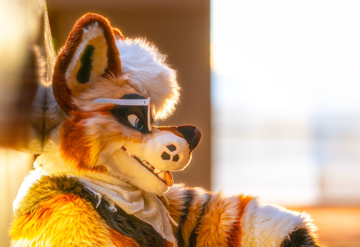 Come sit with me...𓂃 ོ☼𓂃
🐶...and tell me yer story!