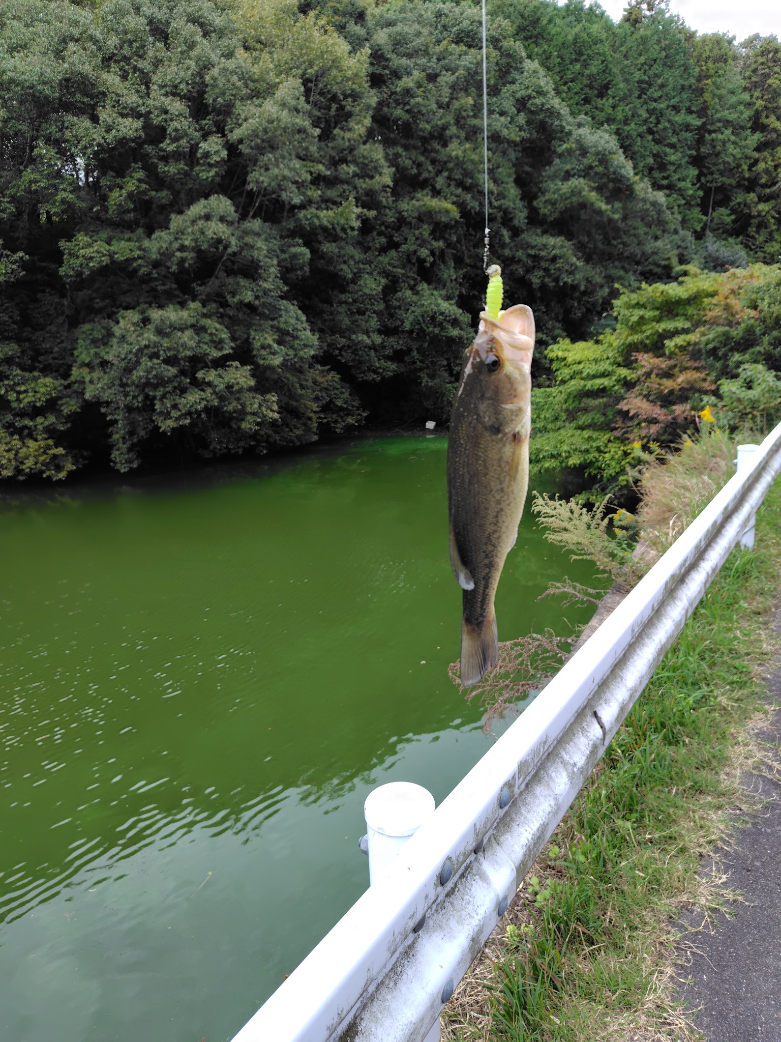 ☆江戸知らん☆ on X: 