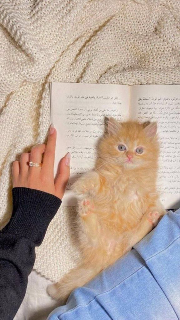 اللَّهُـــم ما أصبح بنا من نعمة أو بأحد من خلقك فمنك وحدك لا شريك لك فلك الحمد ولك الشكر وأنت على كل شيء قدير..  

ً
#صباح_الخير 
#صباح_الخير_والسعاده