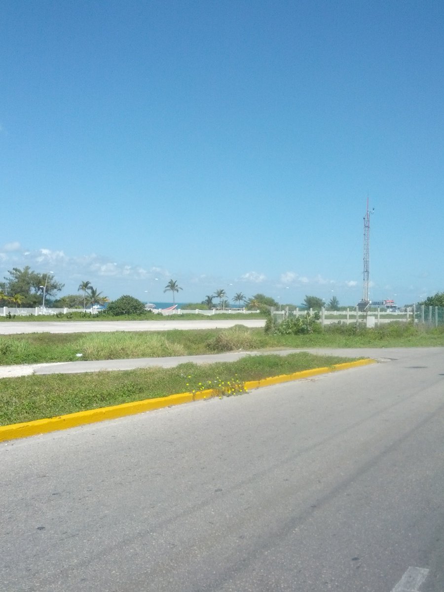 Jared P Bostic tweet media