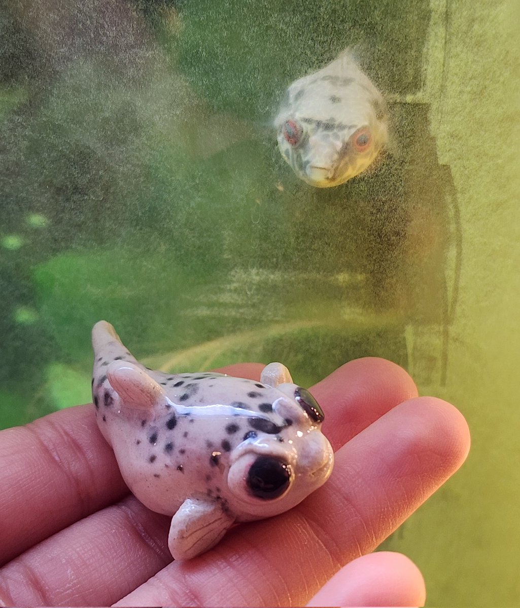 아ㅋㅋㅋㅋㅋㅋㅋㅋㅋㅋㅋㅋㅋ🐡🐡🐡🐡🐡🐡