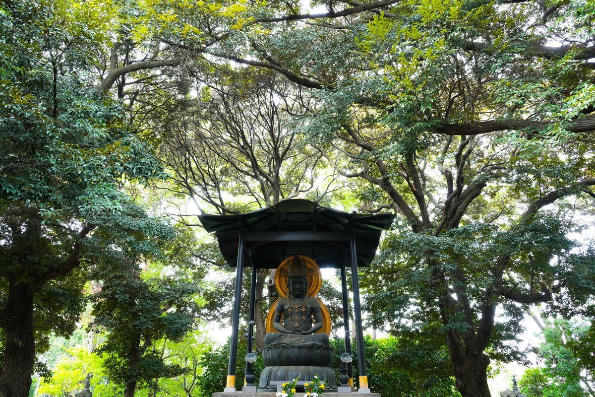 かとう様 s-l1200.png