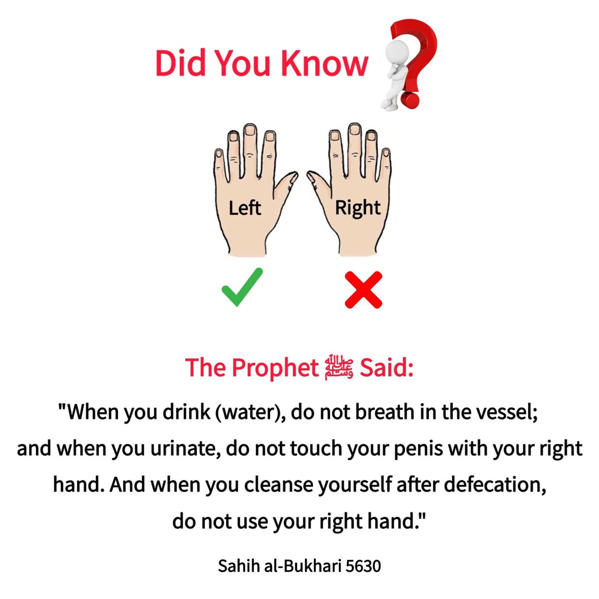 Miss_Halimatu's tweet image. Hadith of the day 🥰🙏