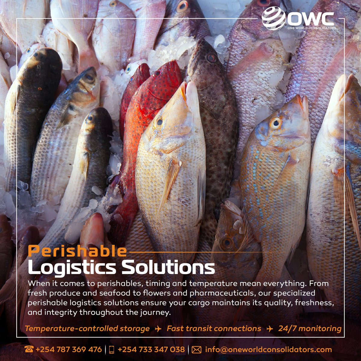 OWConsolidators's tweet image. We ensure your #perishables arrive fresh, we offer the expertise, and infrastructure to streamline your #logistics process and safeguard your #goods.
It’s about preserving quality, #trust and your business reputation.
Contact: +254 787 369 476 | info@oneworldconsolidators.com