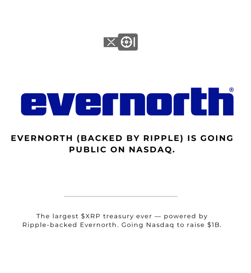Evernorth 팀 및 전략 개요