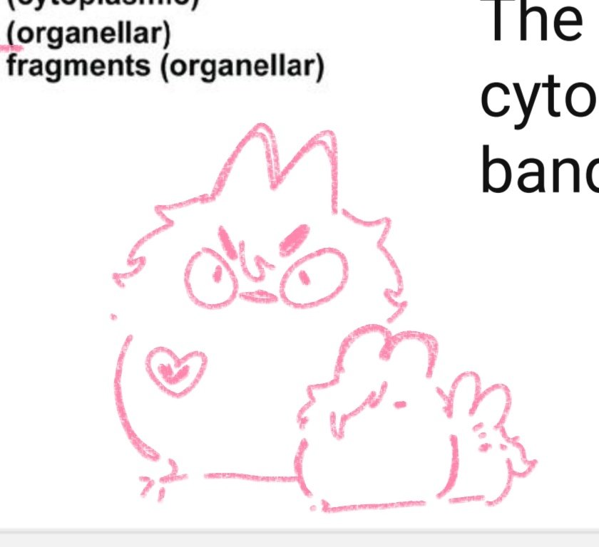 heartsteel_love's tweet image. #settphel